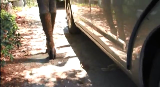 2004 Toyota Prius II [NHW20]