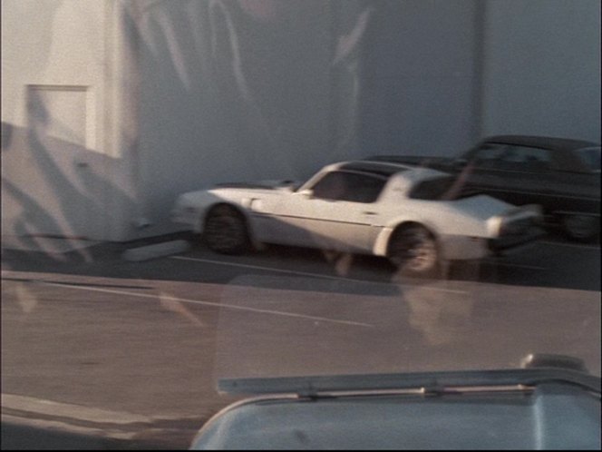 1979 Pontiac Firebird Trans Am