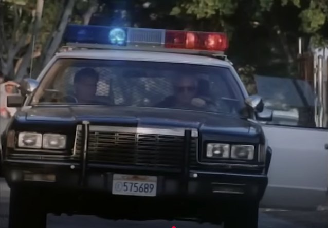 1979 Dodge St. Regis