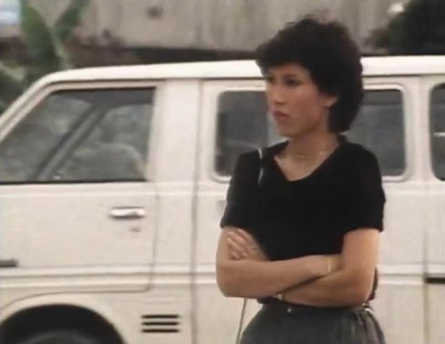 1971 Toyota LiteAce [M10]