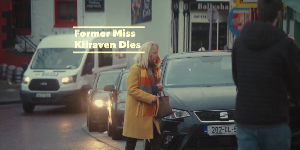 Seat Ibiza 5ª generación [Typ 6F]