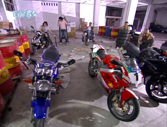 1996 Honda Hornet 250 Special Edition [MC31]