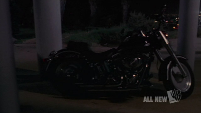 2003 Harley-Davidson Fat Boy