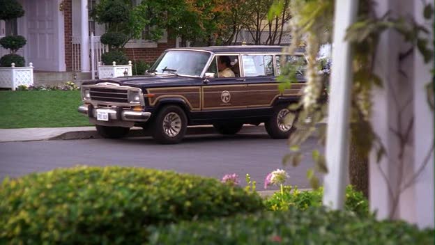 1987 Jeep Grand Wagoneer [SJ]