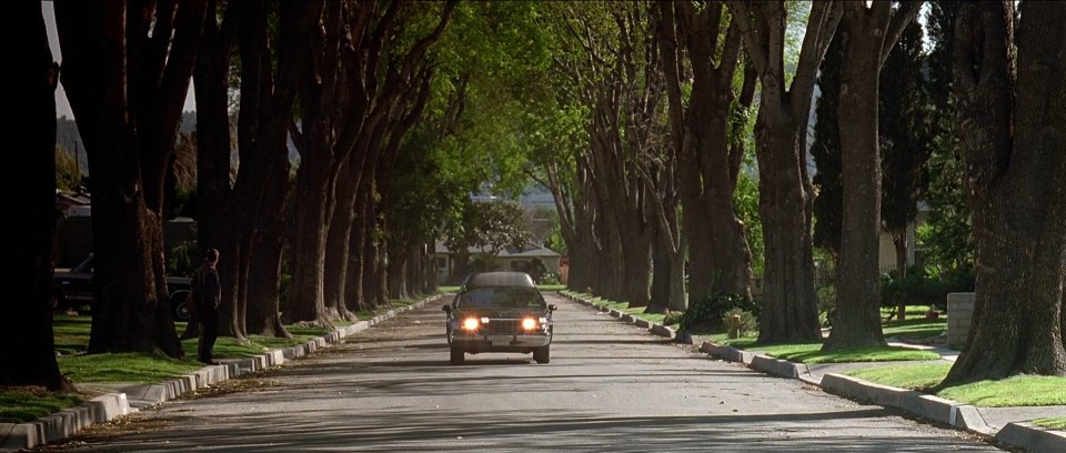 1993 Cadillac Fleetwood Funeral Coach Federal Coach 'Renaissance'
