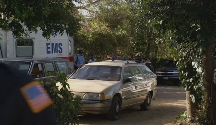 1986 Ford Taurus Wagon [DN5]