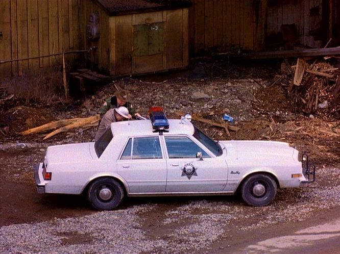 1984 Plymouth Gran Fury