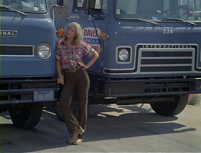 1973 International Harvester Cargostar