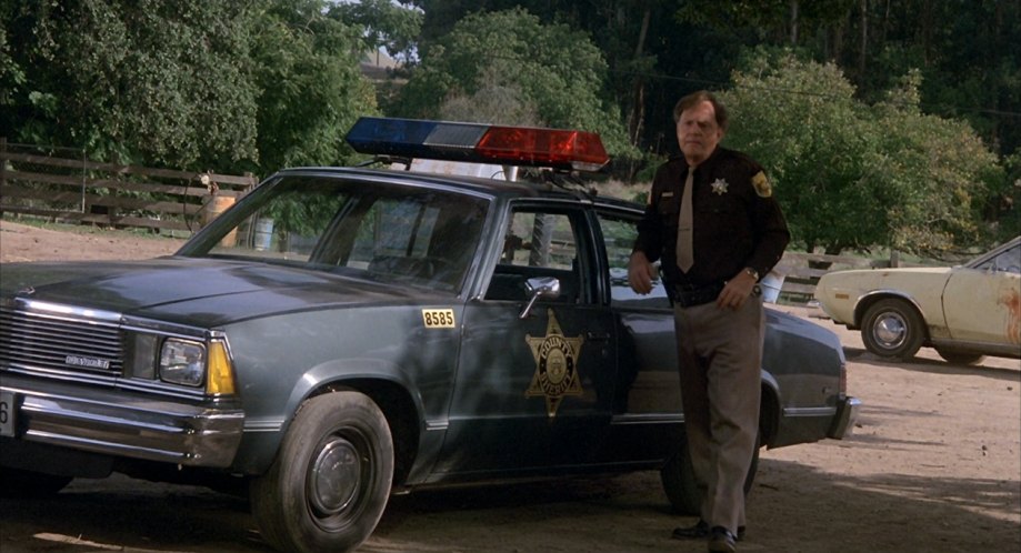 1981 Chevrolet Malibu