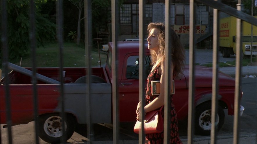 1981 Dodge Ram D-Series Conventional Cab [AD]