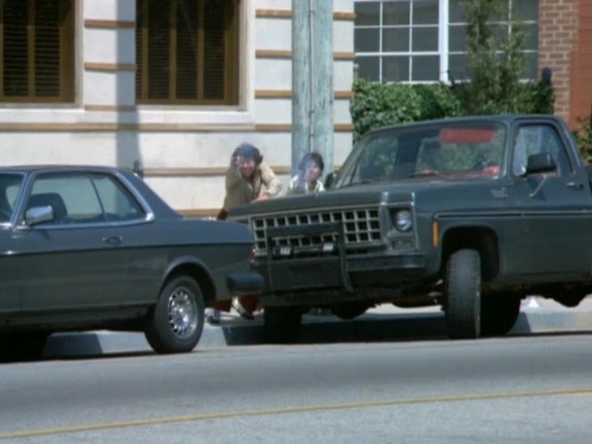 1980 Chevrolet C-10 Custom Deluxe
