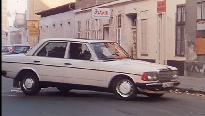 1976 Mercedes-Benz [W123]