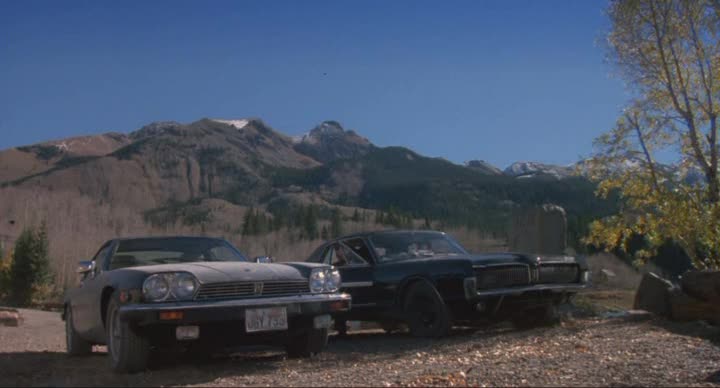 1989 Jaguar XJ-S 5.3 V12 H.E. [XJ77]