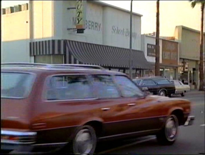 1974 Buick Century Wagon