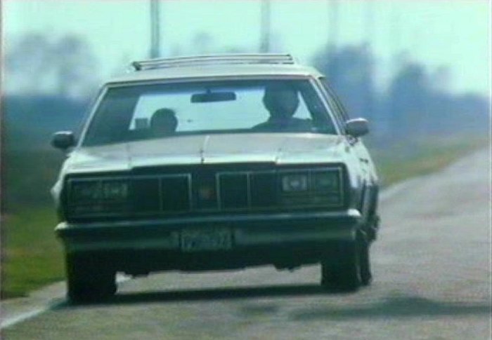 1979 Oldsmobile Custom Cruiser