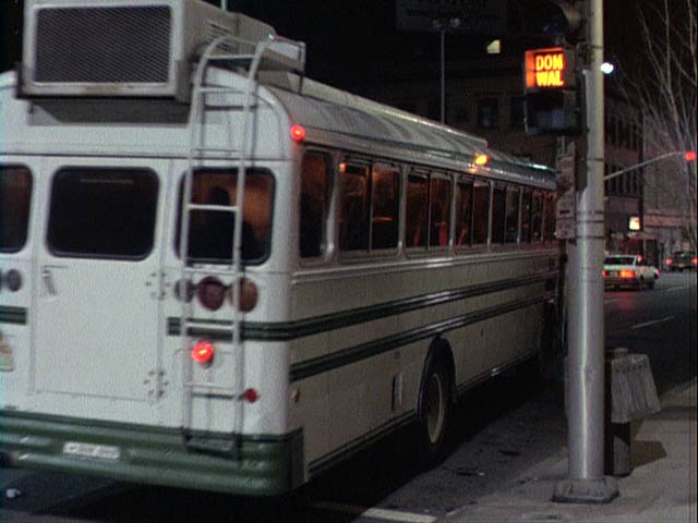 Blue Bird All American [FE]