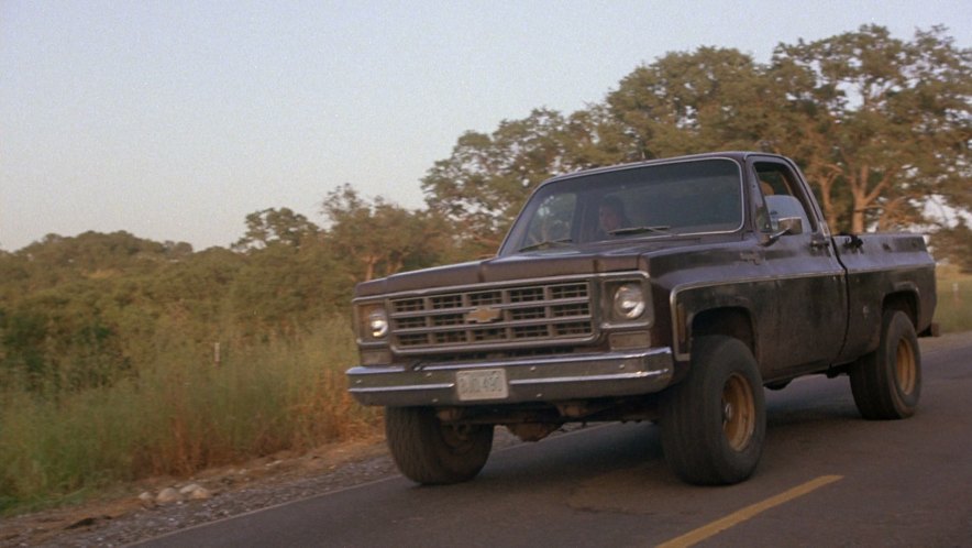 1977 Chevrolet K-10 Cheyenne Fleetside