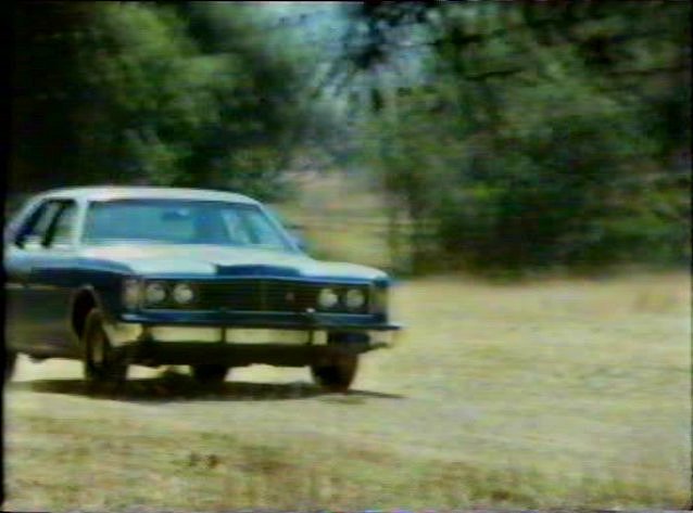 1973 Ford Galaxie 500