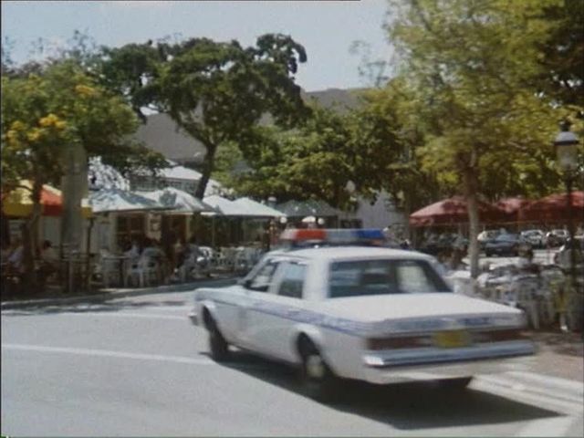 1981 Dodge Diplomat