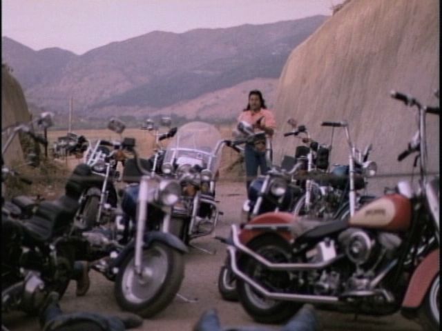 Harley-Davidson Heritage Softail