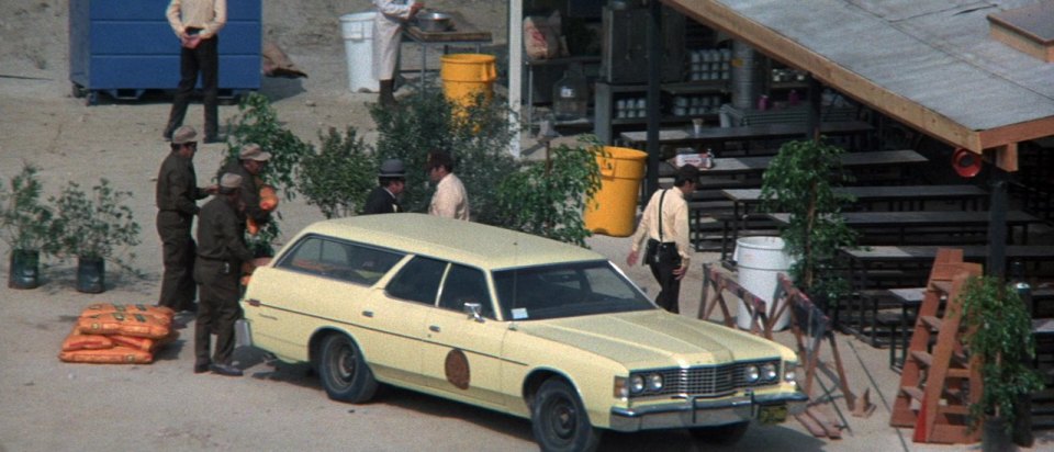 1973 Ford Galaxie 500 Country Sedan