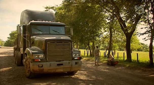 Freightliner FLD