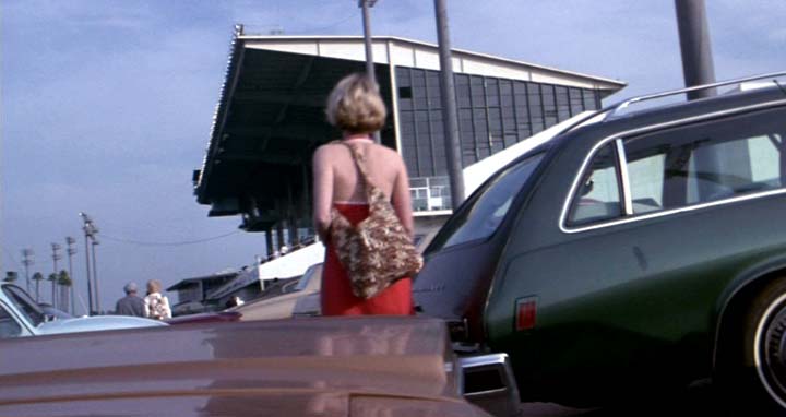 1975 Oldsmobile Cutlass Supreme Cruiser