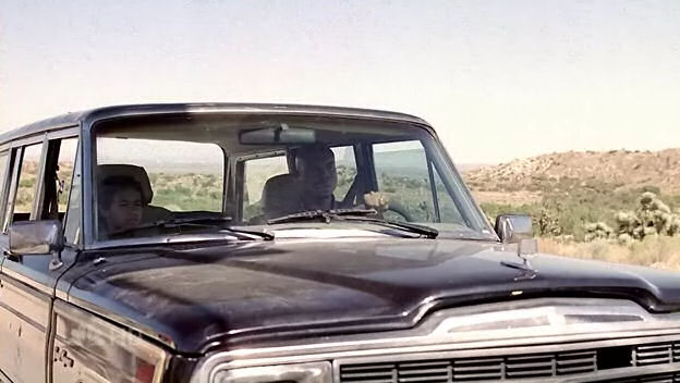 1987 Jeep Grand Wagoneer [SJ]