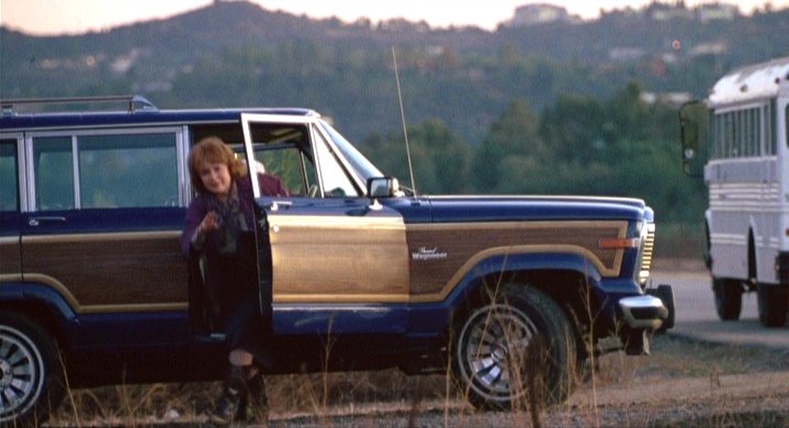 1984 Jeep Grand Wagoneer [SJ]