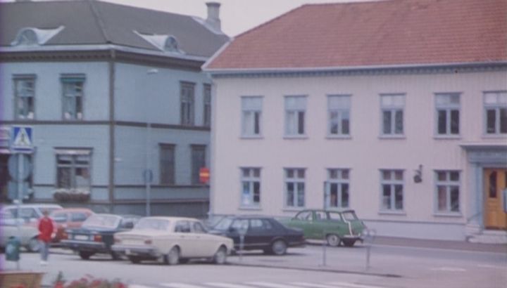 1975 Volvo 244