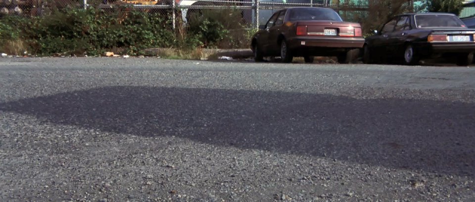 1981 Peugeot 505 [551A]