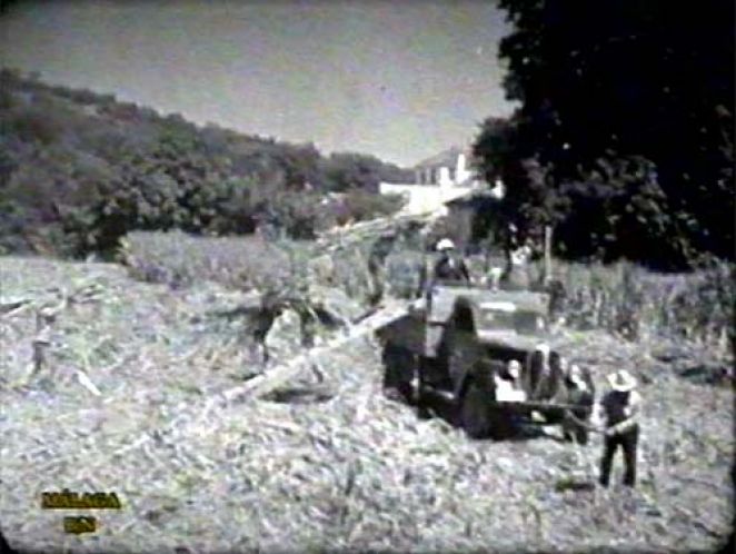 1938 Ford V8 1�-Ton [817T]