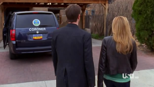 2008 Dodge Grand Caravan SE [RT]