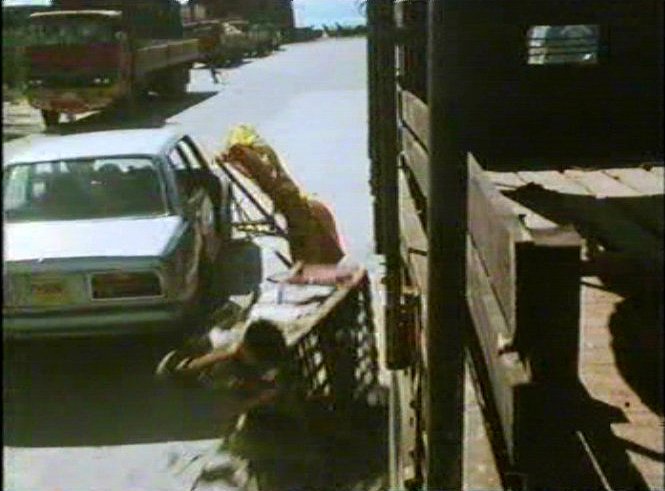 1980 Hino Super Dolphin