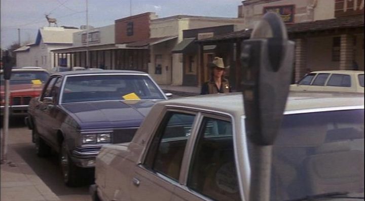 1980 Oldsmobile Delta 88