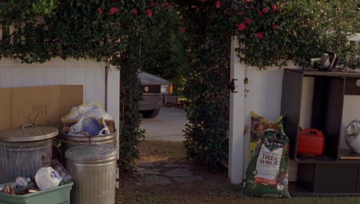 1981 Volkswagen Rabbit I [Typ 17]