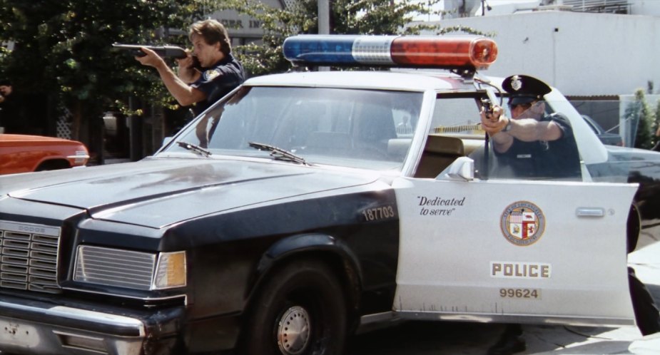 1979 Dodge St. Regis