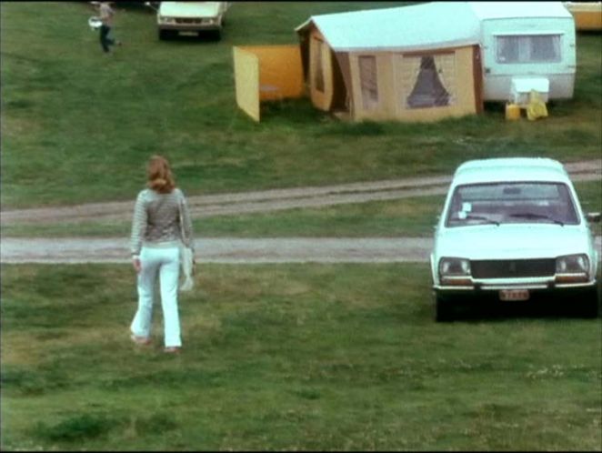 1973 Peugeot 504 Break