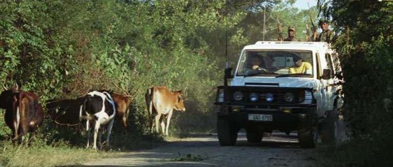 2000 Toyota Land Cruiser [J79]