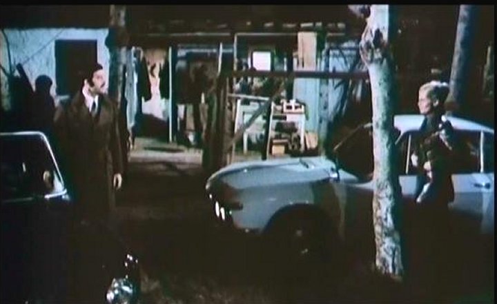 1965 Alfa Romeo Giulia 1300 TI [105.39]