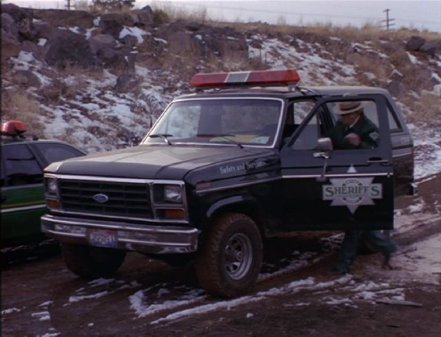 Ford Bronco 1982