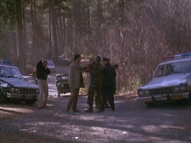 1982 Ford Fairmont Futura