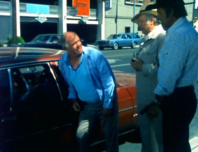 1980 Chevrolet Caprice Classic Station Wagon