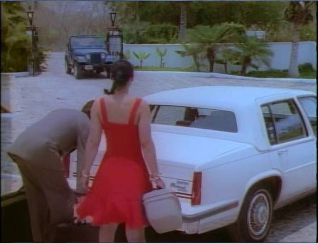 1987 Cadillac Fleetwood d'Elegance