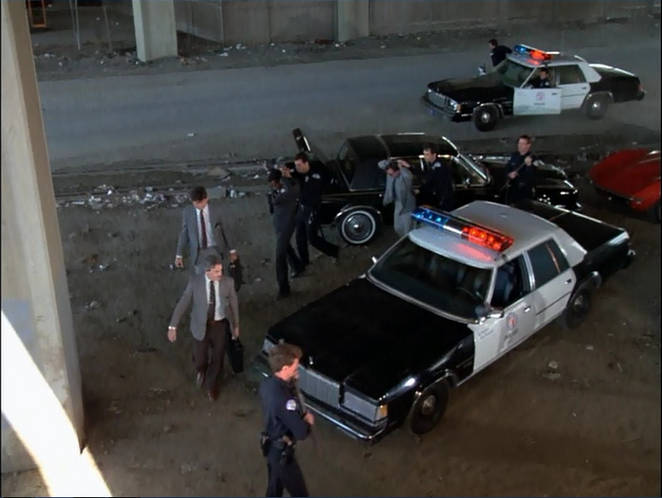 1979 Dodge St. Regis