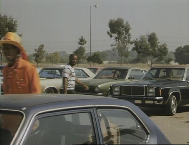 1978 Mercury Monarch