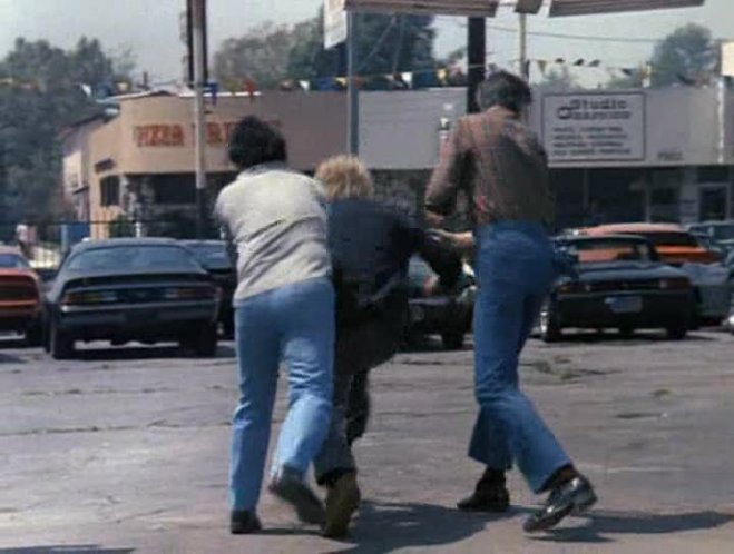 1980 Chevrolet Camaro