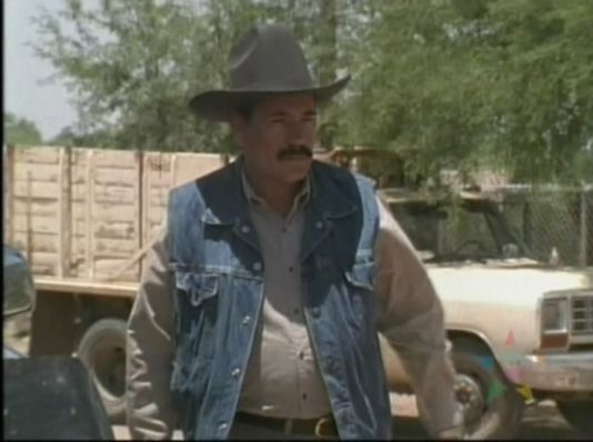 1981 Dodge Ram [D-350]