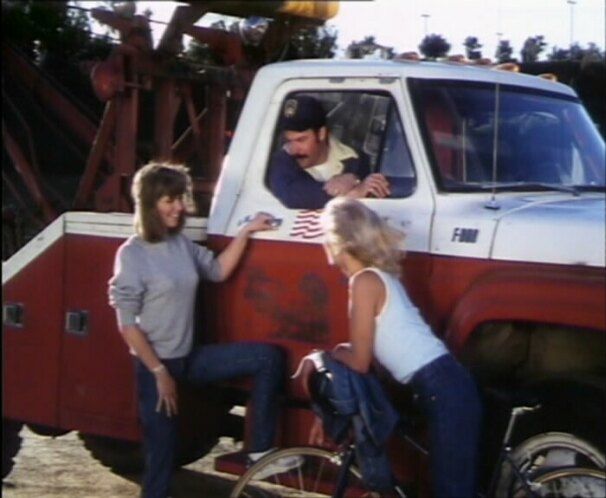 1973 Ford f800 #4