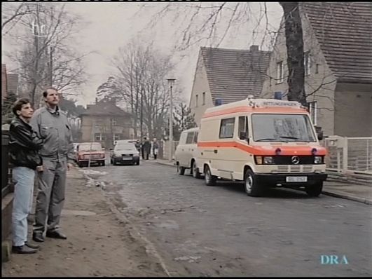 1977 Mercedes-Benz 308 [T1]